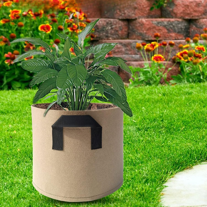 Saci pentru Cultivarea Plantelor Jaskus