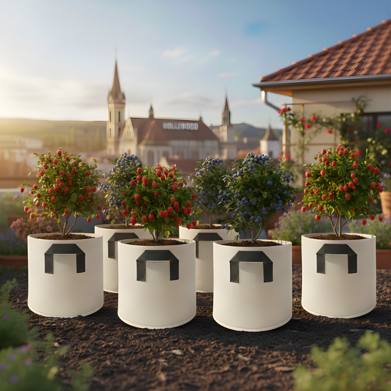Saci pentru Cultivarea Plantelor Jaskus