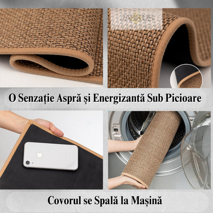 Covoras Pres de Intrare